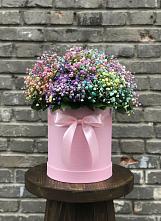 Цветочная композиция из Гипсофила и Розы в шляпной коробке в Прикумском