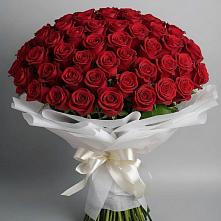 Букет 101 Красная роза Блэк Мэджик #REPLACE_PRED# Прикумском