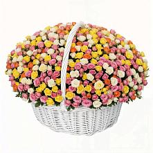 Премиум букет из: Розы в Прикумском