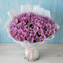 Букет цветов из:  Хризантемы #REPLACE_PRED# Прикумском