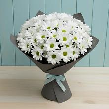 Букет цветов из:  Хризантемы #REPLACE_PRED# Прикумском