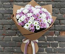 Букет цветов из:  Хризантемы в Прикумском