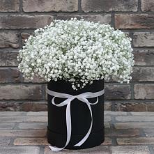Цветочная композиция из Гипсофила в шляпной коробке #REPLACE_PRED# Прикумском
