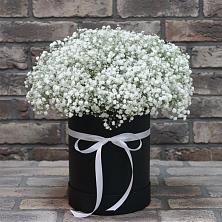 Цветочная композиция из Гипсофила в шляпной коробке в Прикумском