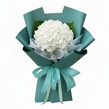 Букет цветов из:  Гортензия в Прикумском